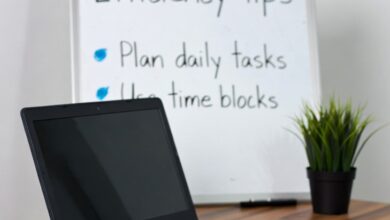 11 Skills Employers look for in new Employees