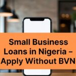 Small Business Loans in Nigeria – Apply Without BVN