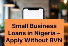 Small Business Loans in Nigeria – Apply Without BVN