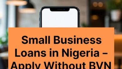 Small Business Loans in Nigeria – Apply Without BVN