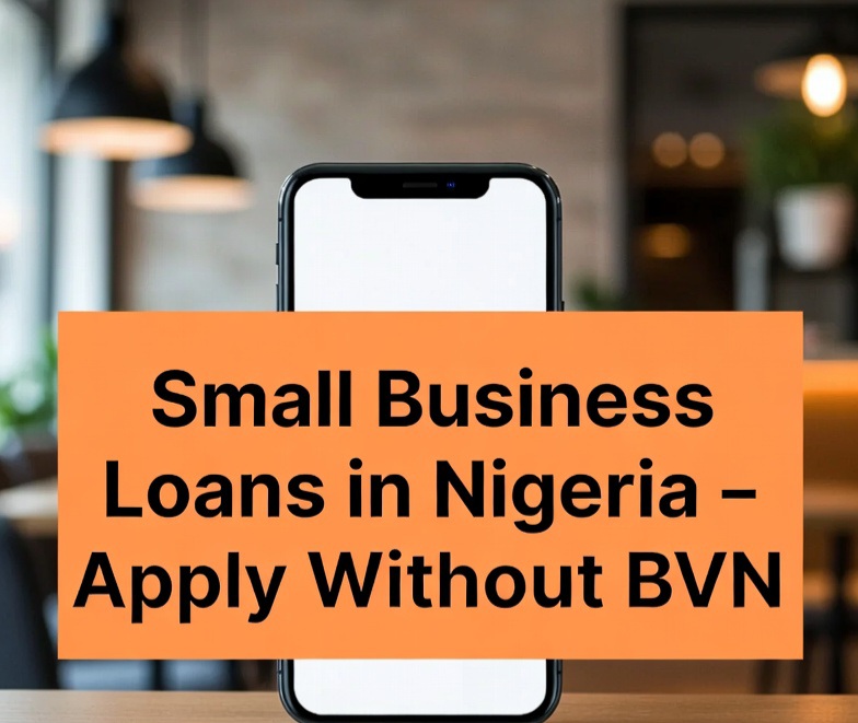 Small Business Loans in Nigeria – Apply Without BVN