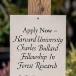 Apply Now – Harvard University Charles Bullard Fellowship In Forest Research