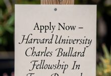 Apply Now – Harvard University Charles Bullard Fellowship In Forest Research