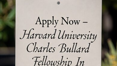 Apply Now – Harvard University Charles Bullard Fellowship In Forest Research