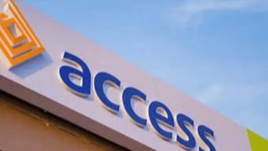 Access Bank Plc Climate Leadership Fellowship