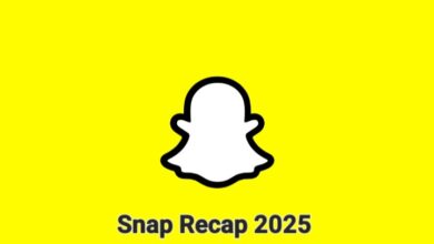 snap recap 2025
