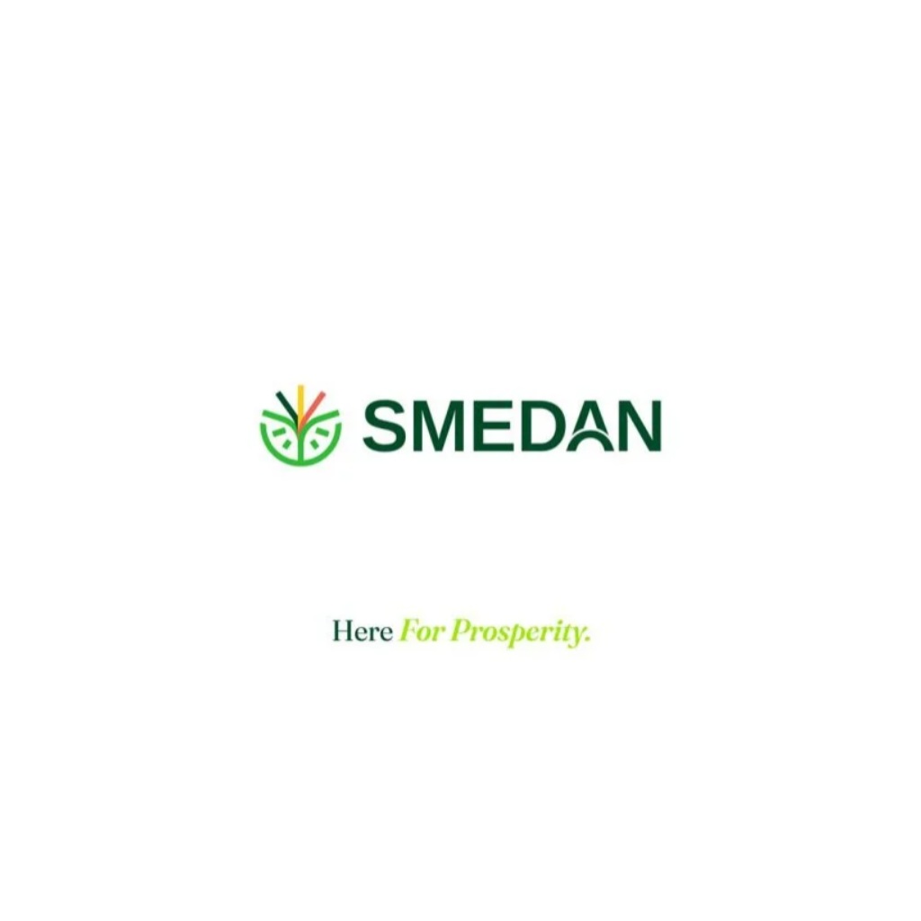 small and medium enterprises development agency of nigeria