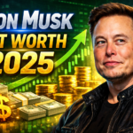 Elon Musk Net Worth 2025