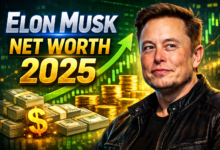 Elon Musk Net Worth 2025