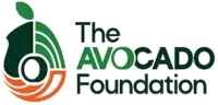 Career Opportunities At The Avocado Foundation (Abuja Office)