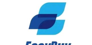 EasyBuy Launches Nationwide Recruitment for 10,000 Business Developers in Nigeria