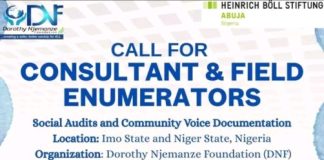 Dorothy Njemanze Foundation Recruitment 2026: Apply for Research Consultant and Field Enumerator Positions