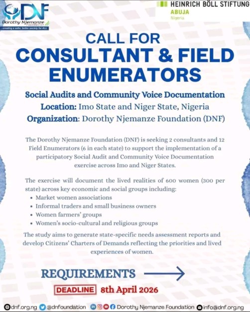 Dorothy Njemanze Foundation Recruitment 2026: Apply for Research Consultant and Field Enumerator Positions