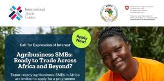 Apply for AfCFTA Agribusiness Programme 2026 – Training, Export Support & Market Access for African SMEs (Deadline April 6)