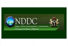NDDC opens 2026 overseas scholarship for youth