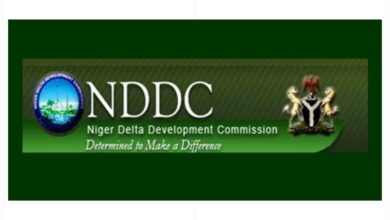 NDDC opens 2026 overseas scholarship for youth