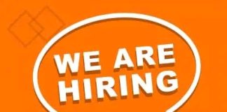 NGO Job Vacancies in Lagos & Abuja 2026: Partnerships Lead, Finance Manager, Nurses, IT & More Roles Open