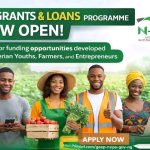 FGN Launches Single-Digit Loan Scheme to Empower MSMEs