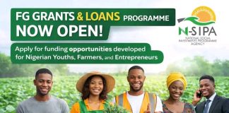 FGN Launches Single-Digit Loan Scheme to Empower MSMEs