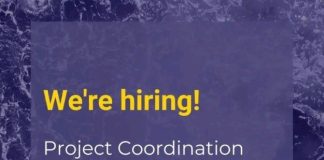 Remote Job Opportunity 2026: Project Coordination and Communications Role at The Impact Valuation Hub (£1,200 Monthly)