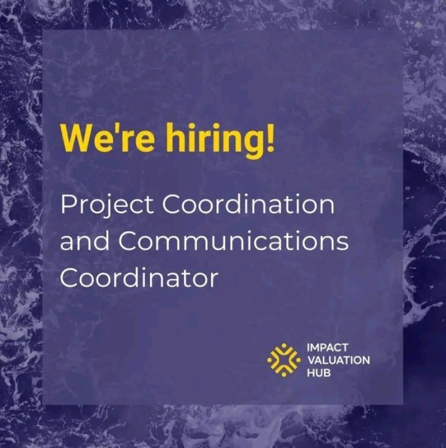 Remote Job Opportunity 2026: Project Coordination and Communications Role at The Impact Valuation Hub (£1,200 Monthly)