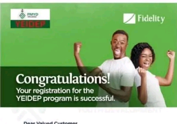 FG and Fidelity Bank unveil YEIDEP grant programme for Nigerians