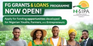 FG Opens NSIPA Grants & Loans 2026 for Nigerians – How to Apply for N-Power, GEEP, Cash Transfer & More