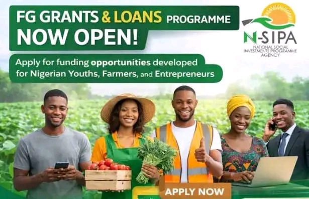 FG Opens NSIPA Grants & Loans 2026 for Nigerians – How to Apply for N-Power, GEEP, Cash Transfer & More