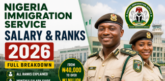 Nigeria Immigration Service Salary Structure 2026: Full List of Ranks and Pay Scale