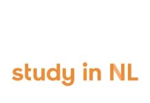 Study in the Netherlands 2026: Scholarships and International Study Opportunities Open