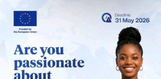 EU-Supported Democratic Governance Volunteer Programme Opens for Young Nigerians