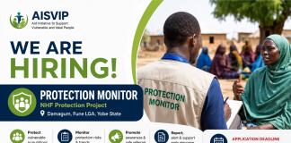 AISVIP Recruitment 2026: Protection Monitor Job Opening in Yobe State
