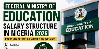 Federal Ministry of Education Salary Structure in Nigeria 2026: Ranks, Grade Levels and Monthly Pay Explained