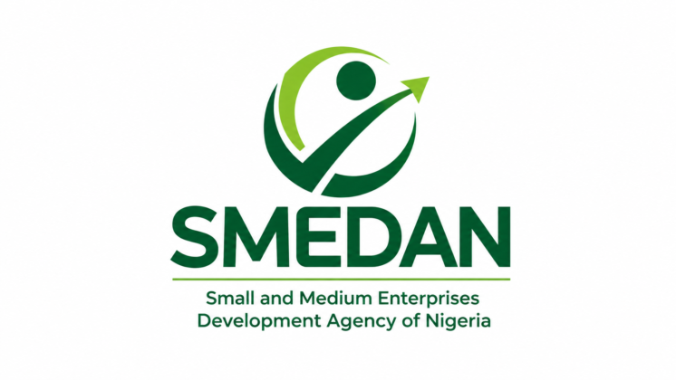 SMEDAN Young Entrepreneurs Programme to Support 100k Young Entrepreneurs with Funding, Mentorship