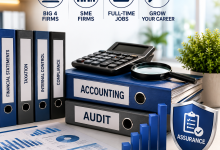 Accountant & Auditor Full-Time Jobs in Nigeria: Big 4 & SME Firms Hiring